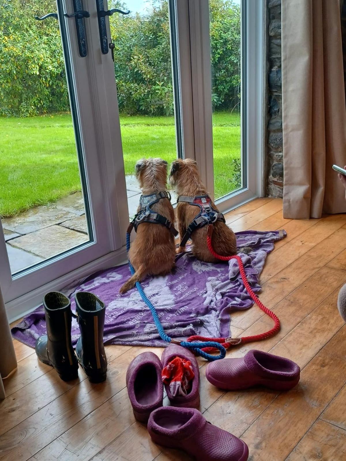 Pippin Lodge Llanwrda Εξωτερικό φωτογραφία