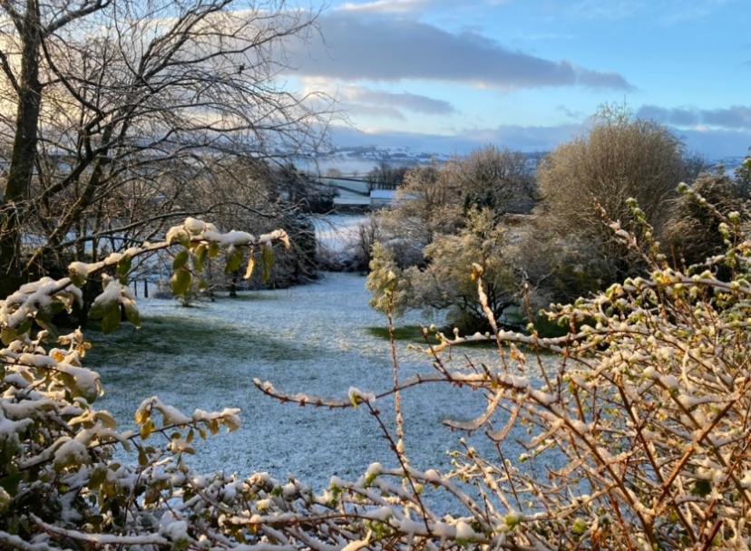 Pippin Lodge Llanwrda Εξωτερικό φωτογραφία