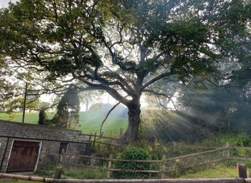 Pippin Lodge Llanwrda Εξωτερικό φωτογραφία