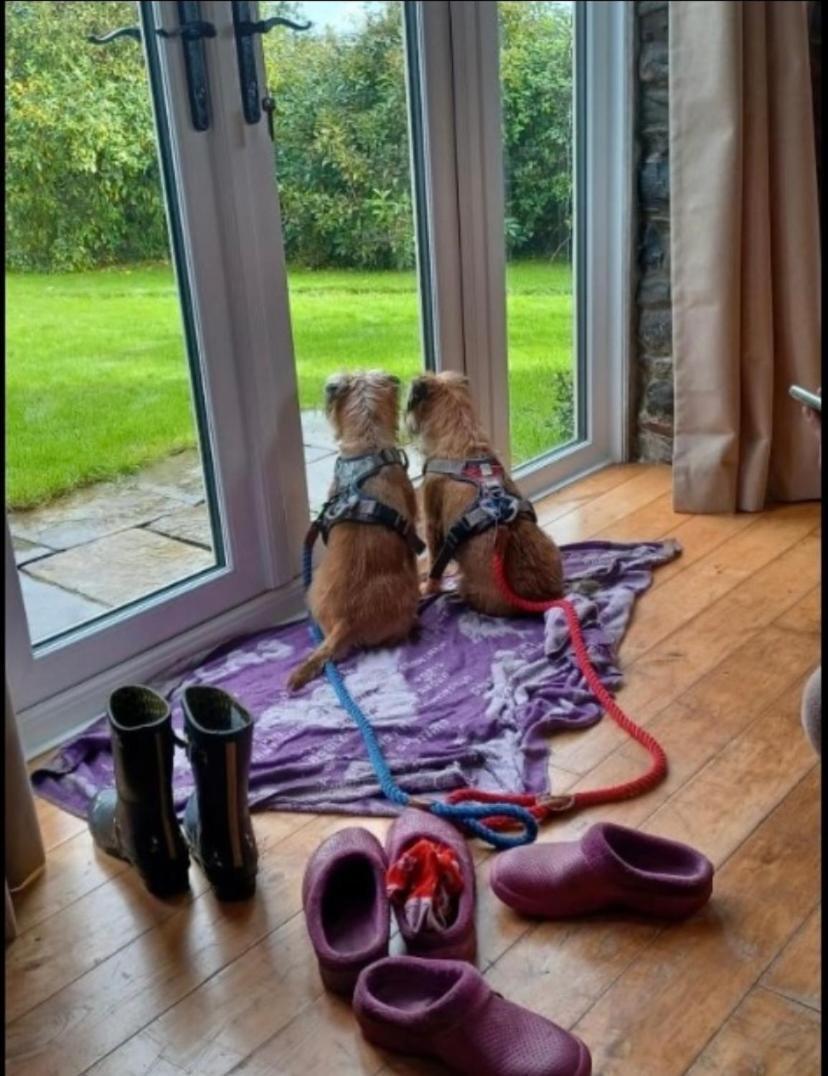Pippin Lodge Llanwrda Εξωτερικό φωτογραφία