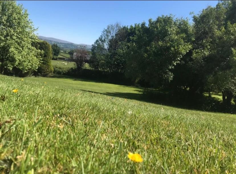 Pippin Lodge Llanwrda Εξωτερικό φωτογραφία
